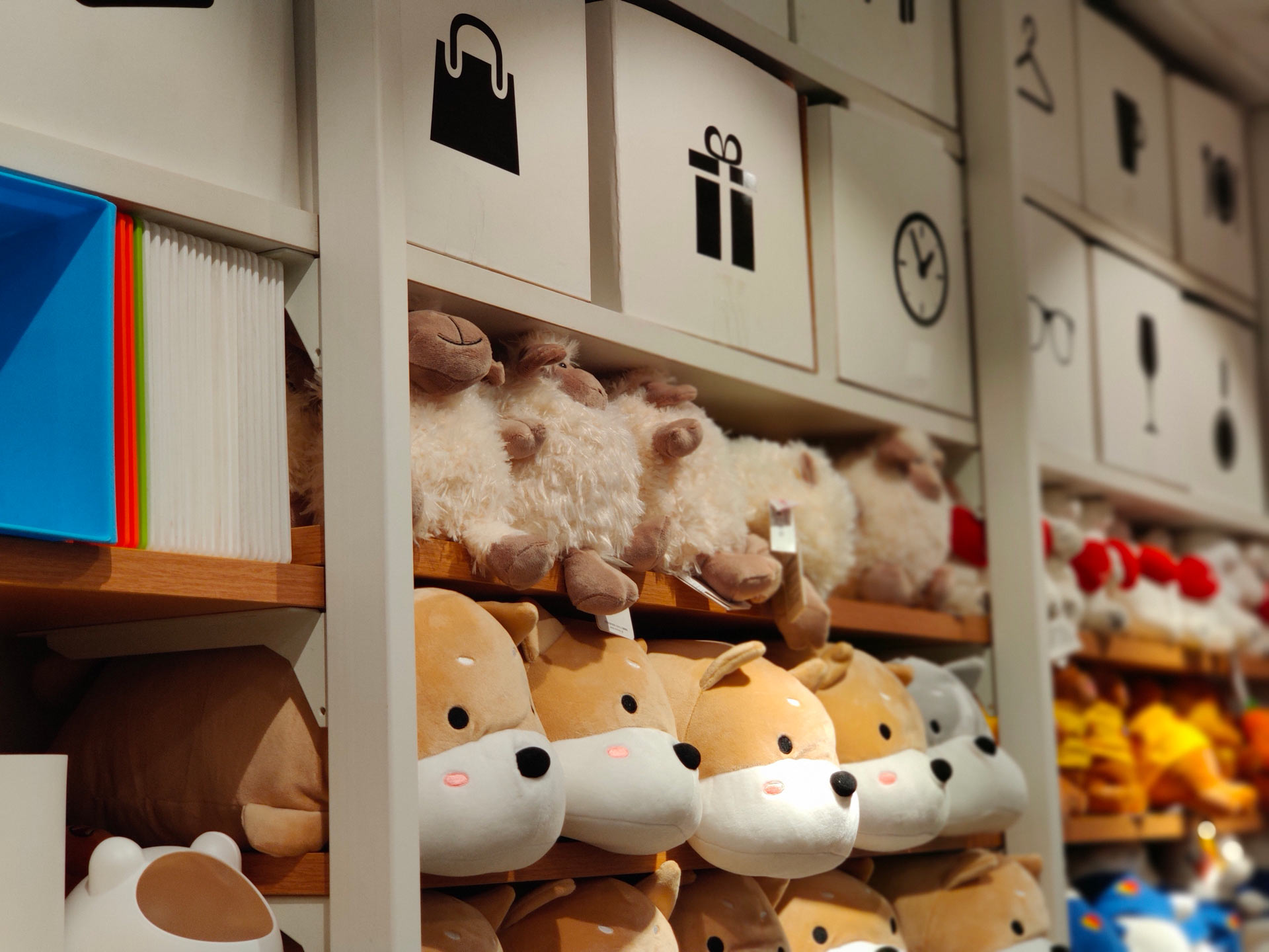 Plush on sale toy store