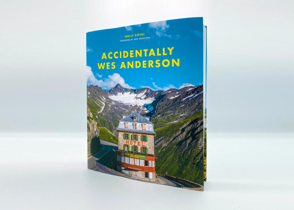 accidently wes andersen book