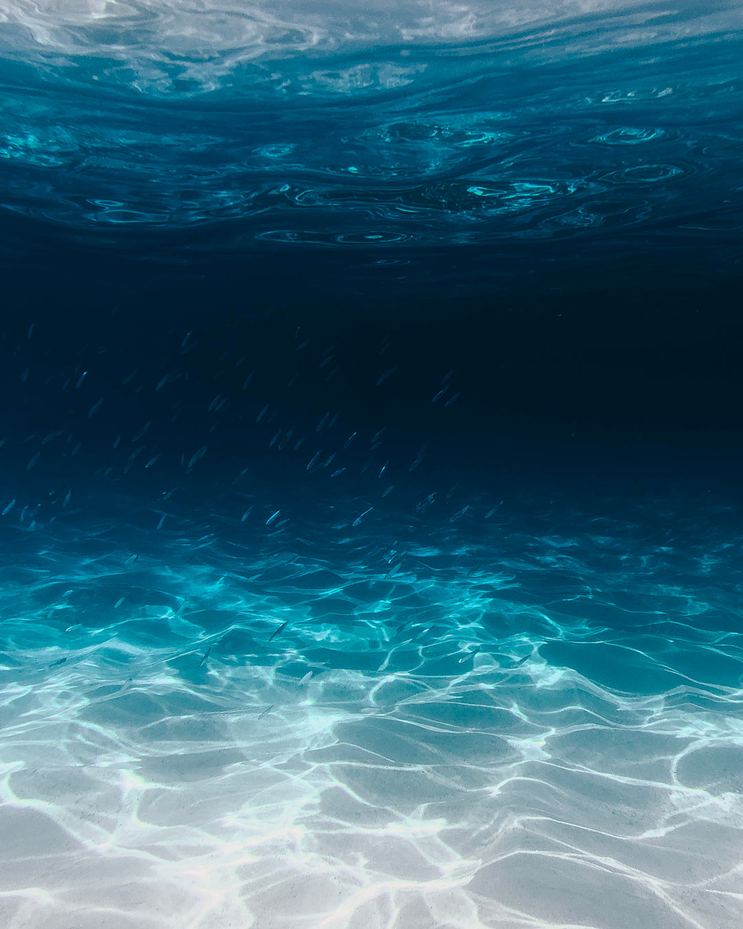 ocean floor clean blue