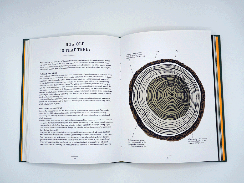 see-the-wood-from-the-tree-open premium hardback book printing