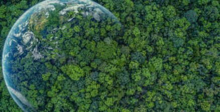 Aerial,Top,View,Green,Forest,With,Earth,,Green,Planet,In